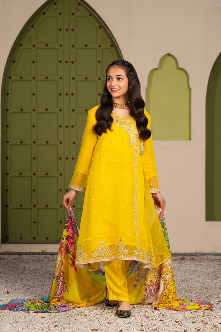 GUL E NARGIS STITCHED 3-PIECE