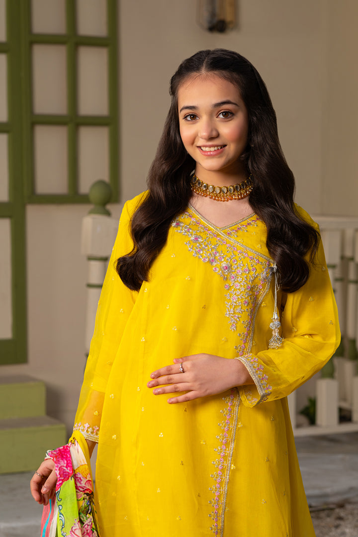 GUL E NARGIS STITCHED 3-PIECE