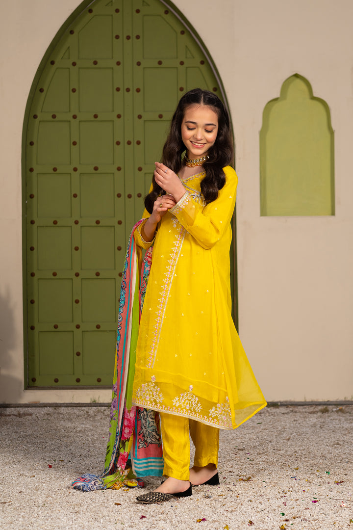 GUL E NARGIS STITCHED 3-PIECE