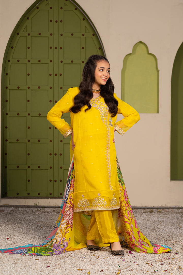 GUL E NARGIS STITCHED 3-PIECE